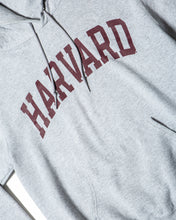 Load image into Gallery viewer, Grey Champion Harvard Hoody