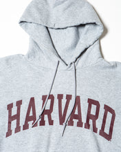 Load image into Gallery viewer, Grey Champion Harvard Hoody