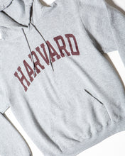 Load image into Gallery viewer, Grey Champion Harvard Hoody