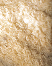 Load image into Gallery viewer, 1970s Short Mongolian Curly Lamb Fur jacket